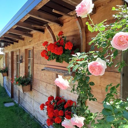 Appartamento Per Vacanze "Il Gelso" Rovereto  Exterior photo