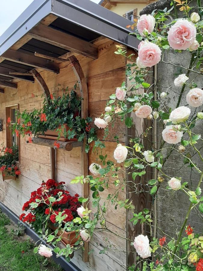 Appartamento Per Vacanze "Il Gelso" Rovereto  Exterior photo