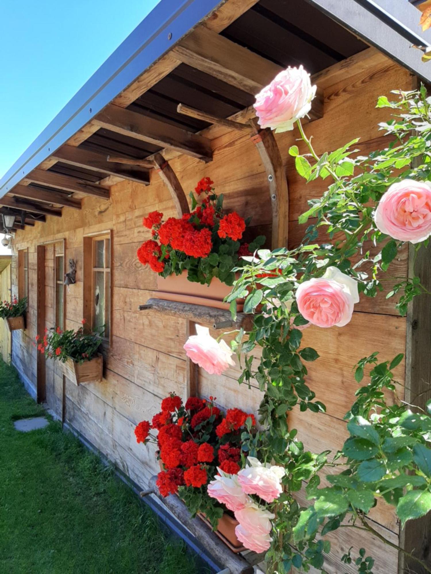 Appartamento Per Vacanze "Il Gelso" Rovereto  Exterior photo