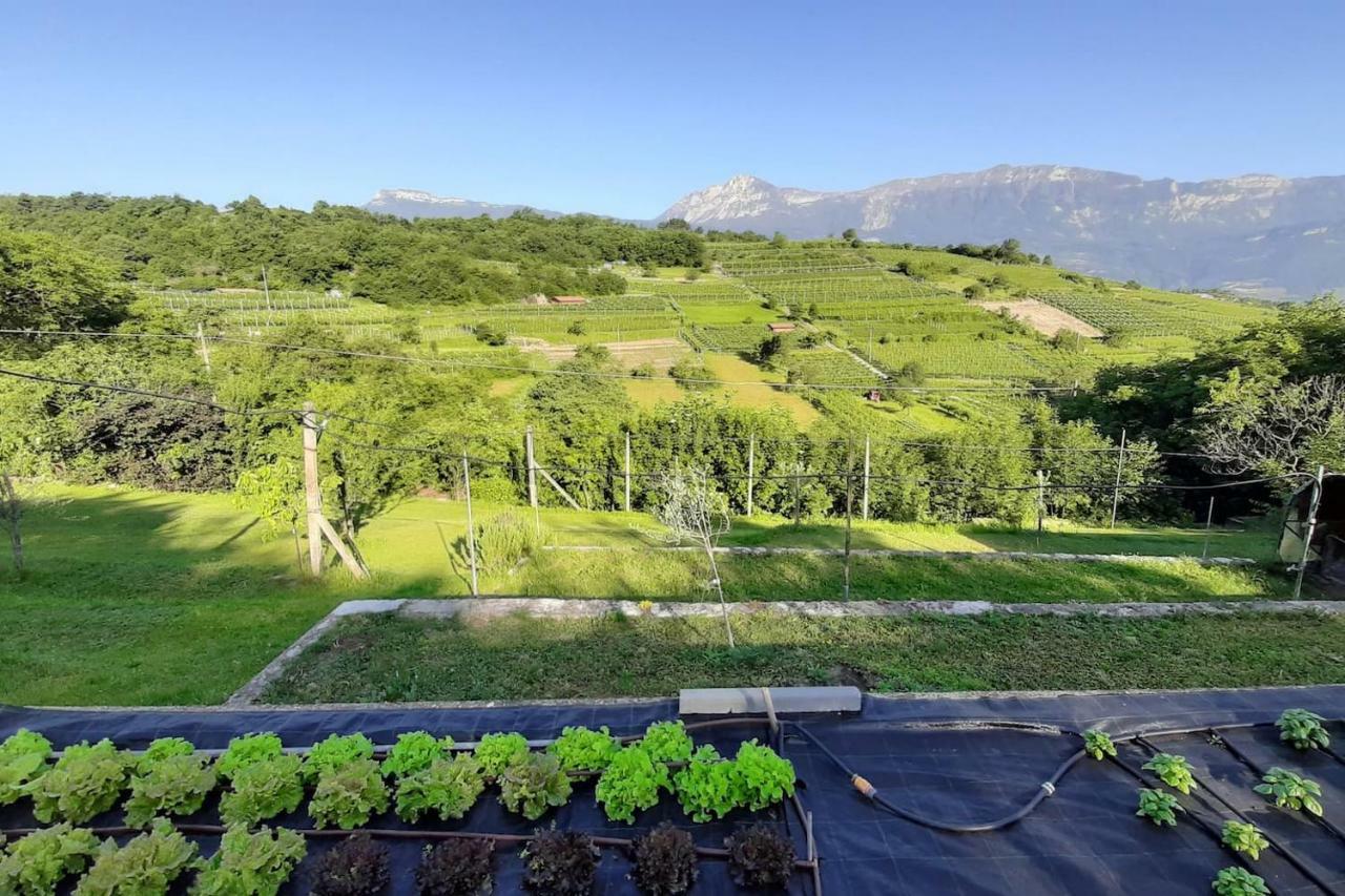 Appartamento Per Vacanze "Il Gelso" Rovereto  Exterior photo